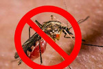 Уничтожение комаров,тараканов