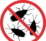 Уничтожение насекомых в Керчи