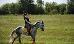 Занятия на лошади, верховая езда, фотосессии