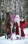 Дед мороз на коне