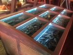 Торговые аквариумы для морепродуктов и живой рыбы и раков