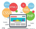 Создание и продвижение сайта, Web программирование